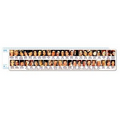 12" Plastic First Ladies Wide Ruler